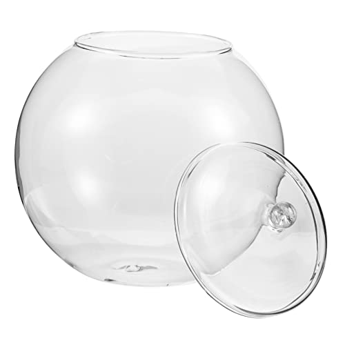 BESPORTBLE Flasche Terrarium Leeres Glasterrarium Mikrolandschaftsflasche Moosflasche DIY Pflanzenbehälter Terrarienglasbehälter Landschaftsbehälter Dekorative Flasche DIY Terrarium BESPORTBLE Flasche Terrarium Leeres Glasterrarium Mikrolandschaftsflasche Moosflasche DIY Pflanzenbehälter Terrarienglasbehälter Landschaftsbehälter Dekorative Flasche DIY Terrarium von BESPORTBLE