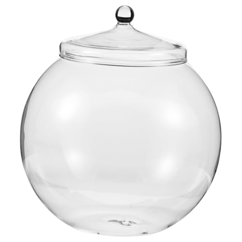 BESPORTBLE Glasterrarium Mit Deckel Durchsichtiges Pflanzgefäß Vase Für Pflanzen -landschaftsbehälter DIY-Terrarium Für Drinnen Und Draußen von BESPORTBLE