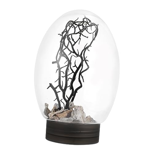BESPORTBLE Desktop-Aquarium Anlasser kleines Aquarium Conditioner Fischglas klein einstellbar LED kunstpflanze kunstplflanze kleine ökologische Flasche Desktop-Goldfischbehälter Plastik Black BESPORTBLE Desktop-Aquarium Anlasser kleines Aquarium Conditioner Fischglas klein einstellbar LED kunstpflanze kunstplflanze kleine ökologische Flasche Desktop-Goldfischbehälter Plastik Black von BESPORTBLE