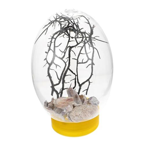 BESPORTBLE Desktop-Aquarium Aquariumdeckel Teich Mini-Desktop Tank Led Aquarium Licht Bausatz Garnelenfilteraquarium Wasser- Block Fischlampenaquarium Kleiner Fisch Avocado Plastik Blue BESPORTBLE Desktop-Aquarium Aquariumdeckel Teich Mini-Desktop Tank Led Aquarium Licht Bausatz Garnelenfilteraquarium Wasser- Block Fischlampenaquarium Kleiner Fisch Avocado Plastik Blue von BESPORTBLE