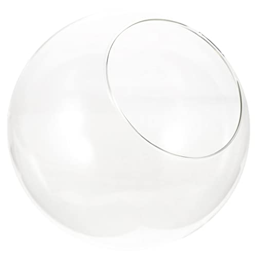 BESPORTBLE Glasterrarium Glas-moospflanzenflasche Mehrzweck-glasflasche Glaspflanzgefäß Vorratsflasche Leeres Glas Landschaftsdekor Landschaftskugel von BESPORTBLE