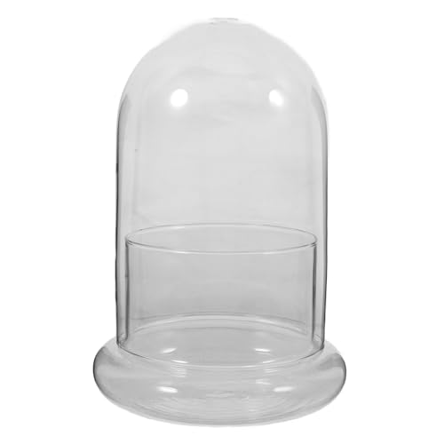 BESPORTBLE Glas Moos Pflanze Flasche Landschaft Vase Für Home Decor Pflanze Vermehrung Station von BESPORTBLE