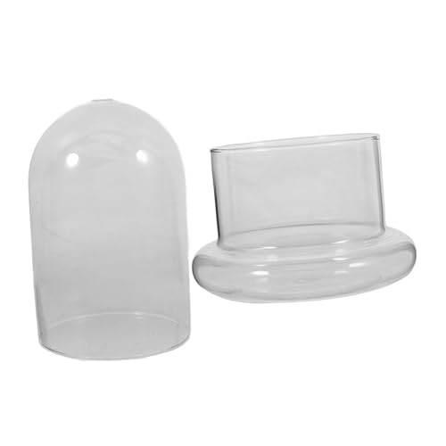BESPORTBLE Eco-Flasche Mini-tortenständer Große Gläser Pflanzenbewässerungszwiebeln Luftpflanzenhalter Gefälscht Prüfen Glocke Pflanzenvermehrungsgläser Sukkulente Pflanzer Glas BESPORTBLE Eco-Flasche Mini-tortenständer Große Gläser Pflanzenbewässerungszwiebeln Luftpflanzenhalter Gefälscht Prüfen Glocke Pflanzenvermehrungsgläser Sukkulente Pflanzer Glas von BESPORTBLE