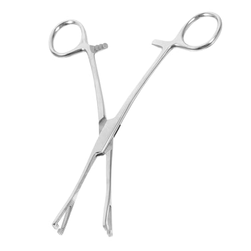 BESPORTBLE Edelstahl Pinzette Terrarium Aquarium Pipette Fütterungswerkzeuge Schlangenfänger Set Reptilienfang Lange Pinzette Grillenpinzette Reptilienzange Fütterungswerkzeug Für von BESPORTBLE