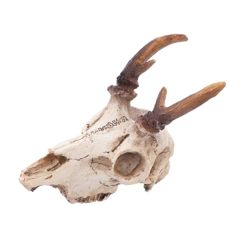 BESPORTBLE Elchschädel Ornamente Dekoration Für Vogelspinnengehege Leopardengecko Tierkuhschädel Wanddekoration Aquariumdekoration Schildkrötenhaus Bartagamen Tankdekoration BESPORTBLE Elchschädel Ornamente Dekoration Für Vogelspinnengehege Leopardengecko Tierkuhschädel Wanddekoration Aquariumdekoration Schildkrötenhaus Bartagamen Tankdekoration von BESPORTBLE