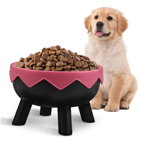 BESPORTBLE Erhöhter Futternapf für Katzen und Kleine Rutschfestes Design Ergonomische zur Reduzierung von Nackenbelastung für Bequemes Füttern Vielseitig Einsetzbar BESPORTBLE Erhöhter Futternapf für Katzen und Kleine Rutschfestes Design Ergonomische zur Reduzierung von Nackenbelastung für Bequemes Füttern Vielseitig Einsetzbar von BESPORTBLE