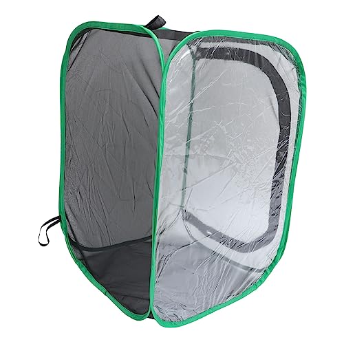 BESPORTBLE Faltbarer Insekten Und Schmetterlingsbeobachtungskäfig Transparente Zuchtbox Für Schmetterlinge Mit Grünem Rand Ideal Für Und Gartenexperimente von BESPORTBLE