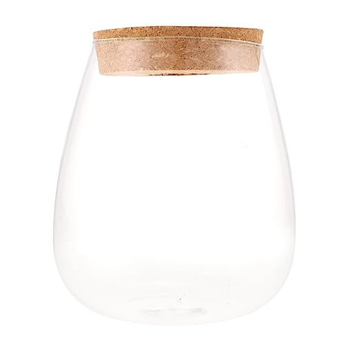 BESPORTBLE Wasserpflanze Tassen Topf Hydrokultur Pflanzer Anlage Terrarium Glas Flasche Glas Keine Kratzer BESPORTBLE Wasserpflanze Tassen Topf Hydrokultur Pflanzer Anlage Terrarium Glas Flasche Glas Keine Kratzer von BESPORTBLE