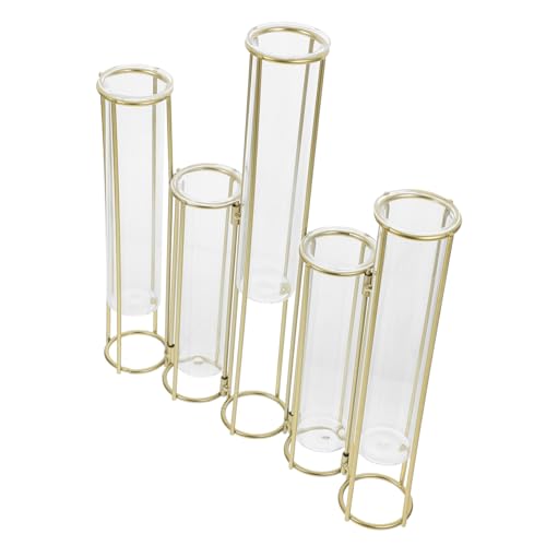 BESPORTBLE Fünf Verbundene Hydroponische Vasen Reagenzglasvasen Reagenzglas-pflanzenhalter Einzelstielvase Reagenzglas-blumenvase Aus Glas Vasenständer Schmiedeeisen Golden von BESPORTBLE