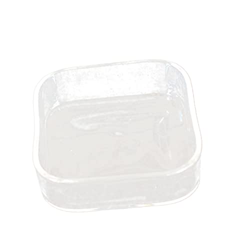 BESPORTBLE Glasfutterbecken Für Reptilien Transparent Runde Schale Für Eidechsen Und Schildkröten Futter Und Wassernapf Einfache von BESPORTBLE
