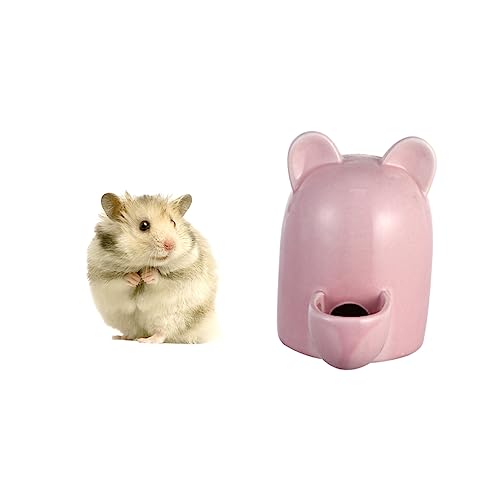 BESPORTBLE Futterautomat Für Haustiere Wasserspender Für Hamster Guinea-schüssel Katzenfutter Futterautomaten Für Katzen Wassernapf Für Hamster Automatische Heimtierbedarf Futterspender Rosa von BESPORTBLE