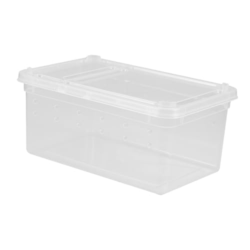 BESPORTBLE Reptilien Futter Und Habitatbox Für Geckos Spinnen Schnecken Und Frösche Robust Und Wetterbeständig Für Kleine Haustiere BESPORTBLE Reptilien Futter Und Habitatbox Für Geckos Spinnen Schnecken Und Frösche Robust Und Wetterbeständig Für Kleine Haustiere von BESPORTBLE