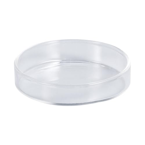 BESPORTBLE Glass Shrimp Feeder Bowl Multifunktionale Futterschale Für Garnelen Und Fische Aus Robustem Kristallglas Schwimmend Dekorativ Und Langlebig Für Aquarien Und Reptilien BESPORTBLE Glass Shrimp Feeder Bowl Multifunktionale Futterschale Für Garnelen Und Fische Aus Robustem Kristallglas Schwimmend Dekorativ Und Langlebig Für Aquarien Und Reptilien von BESPORTBLE
