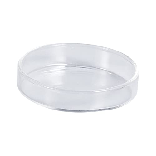 BESPORTBLE Durchsichtige Shrimp Futter Schalen Runde Schalen Für Garnelenfutter Kleine Fischfütterungs Schalen Dekorative Aquarienbedarf BESPORTBLE Durchsichtige Shrimp Futter Schalen Runde Schalen Für Garnelenfutter Kleine Fischfütterungs Schalen Dekorative Aquarienbedarf von BESPORTBLE