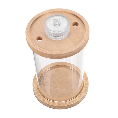 BESPORTBLE Glas Eimer Aquarium Poolheizung Aufbewahrungsbehälter mit Deckel Aquariumlicht Tank led ligts led-Light stechkartuschen angelrolle Glasaquarium Kleines Tischaquarium Holz BESPORTBLE Glas Eimer Aquarium Poolheizung Aufbewahrungsbehälter mit Deckel Aquariumlicht Tank led ligts led-Light stechkartuschen angelrolle Glasaquarium Kleines Tischaquarium Holz von BESPORTBLE
