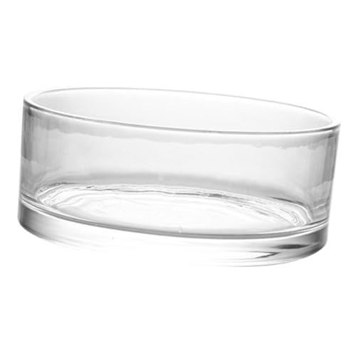 BESPORTBLE Glasterrarium Für Hydrokultur Transparentes -Aquarium Mit Großem Fassungsvermögen Glasvase Für Blumen Und Pflanzen Rund Und Elegant Für Zuhause Und Hotels von BESPORTBLE