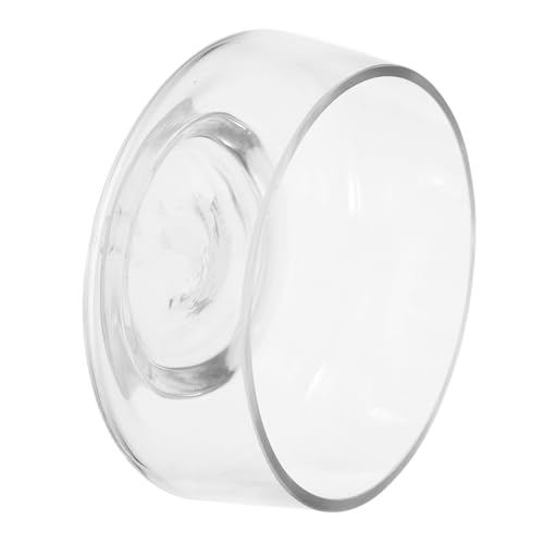 BESPORTBLE Glasvase Klare Fischglas Vase Blasenschale Runder Flacher Übertopf Glasvasen Für Tafelaufsätze Dekorative Arrangements Terrarien Heimdekoration von BESPORTBLE