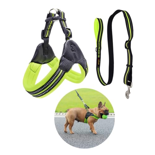 BESPORTBLE Verstellbare Reflektierende Sicherheitsweste Für Hunde Haustier-Set Leine Nylonmaterial Atmungsaktive Weste Für Tägliche Und Outdoor-aktivitäten Grün BESPORTBLE Verstellbare Reflektierende Sicherheitsweste Für Hunde Haustier-Set Leine Nylonmaterial Atmungsaktive Weste Für Tägliche Und Outdoor-aktivitäten Grün von BESPORTBLE
