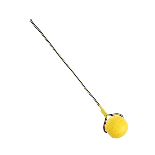 BESPORTBLE Hohler Eva-Ball Mit Seil Für Hunde Zum Werfen Und Training Robustes Hundespielzeug Für Mittlere Bis Große Tiere Ungiftig Und Wasserfest von BESPORTBLE