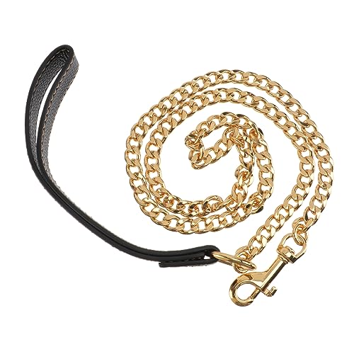 BESPORTBLE Goldene -hundeleine Mit Metallkette Robust Und Langlebig Für Und Haustier-Kontrolle Geeignet Für Kleine Bis Mittelgroße Hunde Und Welpen von BESPORTBLE