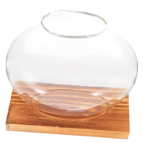 BESPORTBLE Hydroponische Pflanzvase Aus Glas Mit Holzständer Dekorativer Blumentopf Für Home Office Für Pflanzenliebhaber Und Stilvolle Tischdeko BESPORTBLE Hydroponische Pflanzvase Aus Glas Mit Holzständer Dekorativer Blumentopf Für Home Office Für Pflanzenliebhaber Und Stilvolle Tischdeko von BESPORTBLE