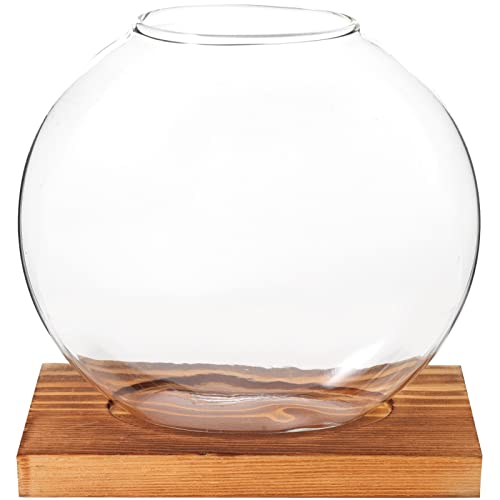 BESPORTBLE Hydroponische Dill Ornamente Künstliche Pflanzen Zur Dekoration Wasserpflanzer Für Den Innenbereich Aquariumvase Ästhetische Raumdekoration Heimdekoration Terrarium von BESPORTBLE
