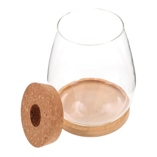 BESPORTBLE Hydroponisches Glas Terrarium mit Deckel Klarer Pflanzenhalter für Moos und Mikro landschaften Multifunktionale Glasflasche für Hydrokultur und Wohnraumdekoration BESPORTBLE Hydroponisches Glas Terrarium mit Deckel Klarer Pflanzenhalter für Moos und Mikro landschaften Multifunktionale Glasflasche für Hydrokultur und Wohnraumdekoration von BESPORTBLE