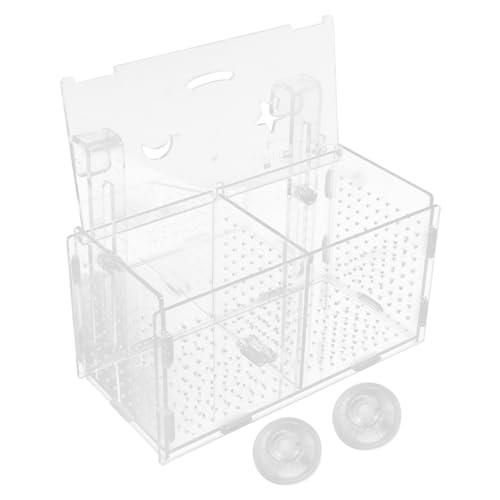 BESPORTBLE Isolation Box Für Aquarien Mit Saugnäpfen Und Haken Fischtank Zuchtbox Für Fische Für Ablaich Und Aufzucht Fächer Mit Runden Löchern BESPORTBLE Isolation Box Für Aquarien Mit Saugnäpfen Und Haken Fischtank Zuchtbox Für Fische Für Ablaich Und Aufzucht Fächer Mit Runden Löchern von BESPORTBLE