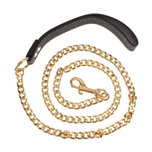 BESPORTBLE Goldene Edelstahl-hundeleine Mit Strapazierfähig Und Langlebig Für Kleine Und Mittelgroße Hunde Für Und Kontrolle von BESPORTBLE