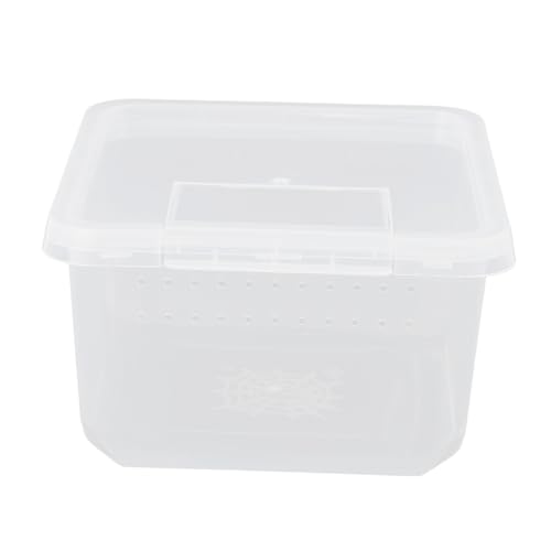 BESPORTBLE Reptilien-fütterungsbox Mini Transparente Terrarienbox Für Spinnen Und Schnecken Praktische Quarantäne-behälter Für Kleine Tiere Zur Beobachtung Und Pflege BESPORTBLE Reptilien-fütterungsbox Mini Transparente Terrarienbox Für Spinnen Und Schnecken Praktische Quarantäne-behälter Für Kleine Tiere Zur Beobachtung Und Pflege von BESPORTBLE