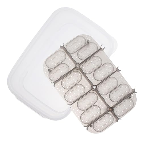 BESPORTBLE Reptilien Hatching Box Zuchtbox Für Geckos Schildkröten Eidechsen Schlangen Transparente Abdeckung Für Einfache Beobachtung Pflegeleicht Für Zuhause Und Geschäfte BESPORTBLE Reptilien Hatching Box Zuchtbox Für Geckos Schildkröten Eidechsen Schlangen Transparente Abdeckung Für Einfache Beobachtung Pflegeleicht Für Zuhause Und Geschäfte von BESPORTBLE