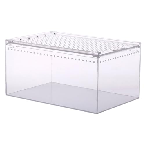 BESPORTBLE Kasten Krabbelbox Aus Acryl Transparenter Haustierbehälter Reptilienterrarium Haustierzaun Gecko-Terrarium Schneckenbecken Aufbewahrungsnest Für Reptilien Reptilienhaut Minizaun von BESPORTBLE