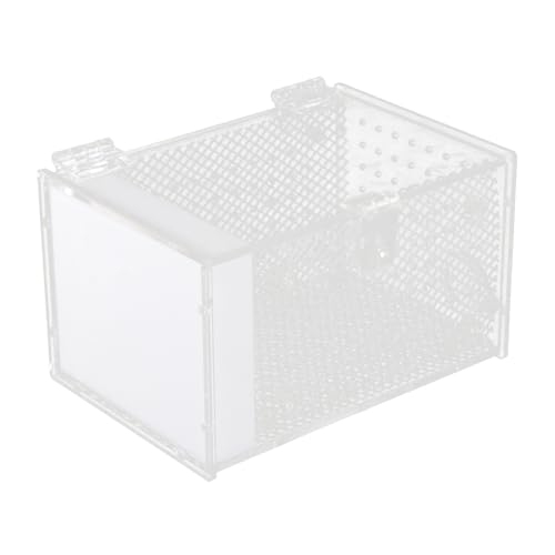 BESPORTBLE Mittelgroße Eidechsen-ausstellungsbox Acryl-insektengehege Frischluftbelüftung Für Eidechsen Und Spinnen von BESPORTBLE