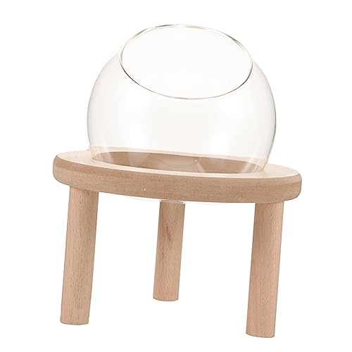 BESPORTBLE Badewanne Für Kleine Haustiere Hamsterbadewanne Aus Glas Sandbadebox Für Täglichen Gebrauch Kleine Badewanne Für Hamster Und Mäuse Multifunktionales Hamsterzubehör Als Toilette BESPORTBLE Badewanne Für Kleine Haustiere Hamsterbadewanne Aus Glas Sandbadebox Für Täglichen Gebrauch Kleine Badewanne Für Hamster Und Mäuse Multifunktionales Hamsterzubehör Als Toilette von BESPORTBLE