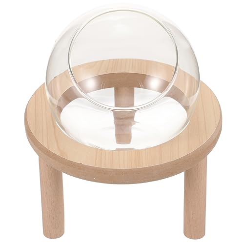 BESPORTBLE Home Sandbad Box Für Hamster Transparente -badewanne Mit Holzuntergrund Für Kleine Haustiere Einfach Zu Reinigen Und Multifunktional Als Toilette Oder Sandbad BESPORTBLE Home Sandbad Box Für Hamster Transparente -badewanne Mit Holzuntergrund Für Kleine Haustiere Einfach Zu Reinigen Und Multifunktional Als Toilette Oder Sandbad von BESPORTBLE