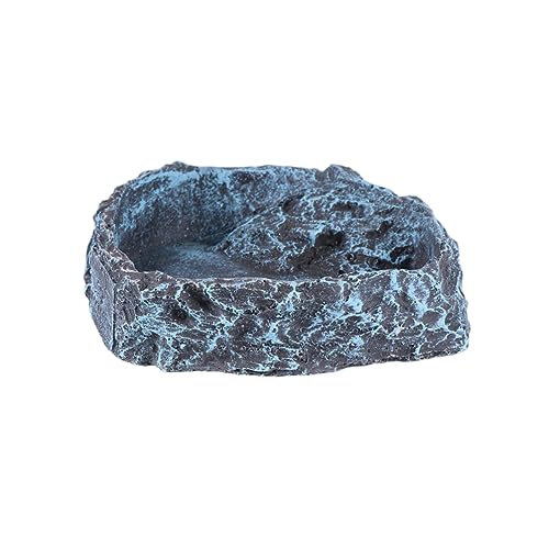 BESPORTBLE Schildkröten-futternapf Futterbox Für Reptilien Glatt Zum Trinken Und Von Reptilien von BESPORTBLE