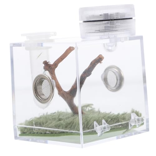 BESPORTBLE Kasten Springspinnen-Zuchtbox Mini-Tierwächter Miniaturgehäuse Spinnenhaus Schneckengehege Spinnenhaltungsbox Springspinnen-Box Mini-Luftbefeuchter Insektenhaus Spinnenfall Holz von BESPORTBLE