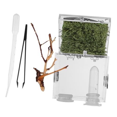 BESPORTBLE Transparentes Terrarium Für Reptilien Und Insekten Mit Pinzette Und Tropfer Zuchtbox Für Spinnen Und Kleine Reptilien Einfacher Zugang Und Einfache Pflege BESPORTBLE Transparentes Terrarium Für Reptilien Und Insekten Mit Pinzette Und Tropfer Zuchtbox Für Spinnen Und Kleine Reptilien Einfacher Zugang Und Einfache Pflege von BESPORTBLE