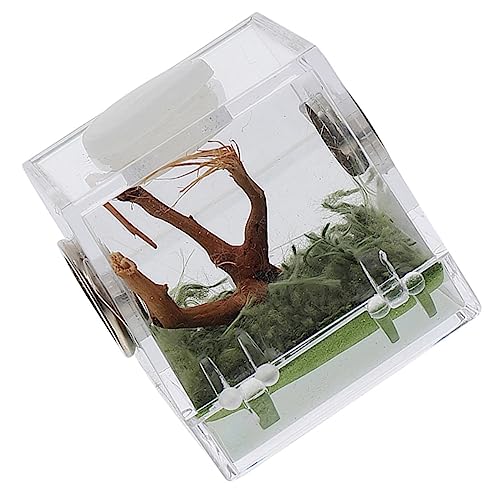 BESPORTBLE Spinnenzuchtkasten Nicht-erfassungsszenenbox Acryl-spinnenhabitatbox für Springspinnenbox Einfache Reinigung BESPORTBLE Spinnenzuchtkasten Nicht-erfassungsszenenbox Acryl-spinnenhabitatbox für Springspinnenbox Einfache Reinigung von BESPORTBLE