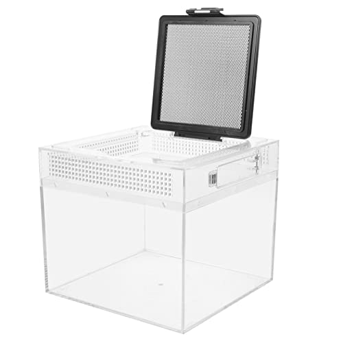BESPORTBLE Reptilien-fütterungsbox Aus Hochtransparente Habitat Für Eidechsen Schildkröten Und Reptilien Mit Sicherem Magnetischem Verschluss von BESPORTBLE