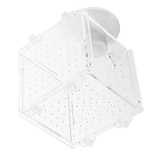 BESPORTBLE Kasten Zuchtbox für Aquarien Trennwand für Aquarien kleines Aquarium Fischzuchtbecken Panzer Aquarien Zubehör Fischzuchtbox Aquarienbedarf Trennnetz für Aquarien Acryl Transparent BESPORTBLE Kasten Zuchtbox für Aquarien Trennwand für Aquarien kleines Aquarium Fischzuchtbecken Panzer Aquarien Zubehör Fischzuchtbox Aquarienbedarf Trennnetz für Aquarien Acryl Transparent von BESPORTBLE