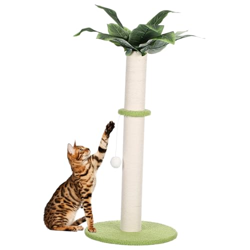 BESPORTBLE Katzenspielzeug kratbaum kratzspielzeug Süßer Kratzbaum für Katzen Heimtierbedarf für den Innenbereich Katzenkratzbrett Spielzeuge Haushalt Kätzchenkratzer Katzenkratzer EIN Körper BESPORTBLE Katzenspielzeug kratbaum kratzspielzeug Süßer Kratzbaum für Katzen Heimtierbedarf für den Innenbereich Katzenkratzbrett Spielzeuge Haushalt Kätzchenkratzer Katzenkratzer EIN Körper von BESPORTBLE