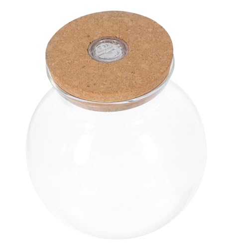 BESPORTBLE -beleuchtete Landschaftsflasche Pflanzen-Terrarium- Borosilikatglasvase Heimdekoration Dekorative Glasflasche Mit Weißem -licht BESPORTBLE -beleuchtete Landschaftsflasche Pflanzen-Terrarium- Borosilikatglasvase Heimdekoration Dekorative Glasflasche Mit Weißem -licht von BESPORTBLE