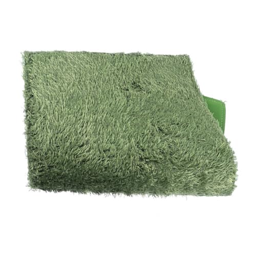 BESPORTBLE Wiederverwendbare Reptilien-haustiermatte Haustier-Teppich Kunstrasen Für Terrarium 40 X 25 Moos von BESPORTBLE