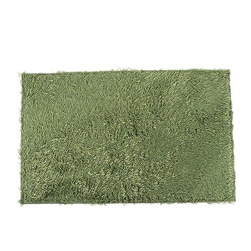 BESPORTBLE Künstliches Gras Für Bartagamen Dekorativer Reptilienuntergrund Moos-Teppich Für Terrarien Tortoise Supply Habitat Für Reptilien Und Amphibien BESPORTBLE Künstliches Gras Für Bartagamen Dekorativer Reptilienuntergrund Moos-Teppich Für Terrarien Tortoise Supply Habitat Für Reptilien Und Amphibien von BESPORTBLE