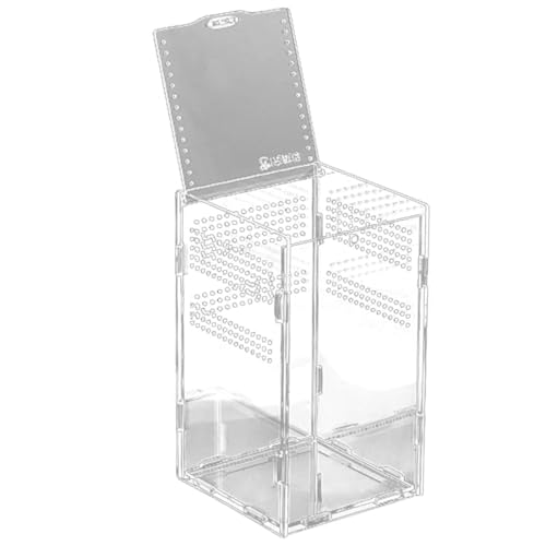 BESPORTBLE Magnetisches Acryl Reptilien Terrarium Transparente Zuchtbox Hochtransparent Reptiliengehege Reptilienfütterungsbehälter Terrarium Dekoration für Reptilienliebhaber BESPORTBLE Magnetisches Acryl Reptilien Terrarium Transparente Zuchtbox Hochtransparent Reptiliengehege Reptilienfütterungsbehälter Terrarium Dekoration für Reptilienliebhaber von BESPORTBLE