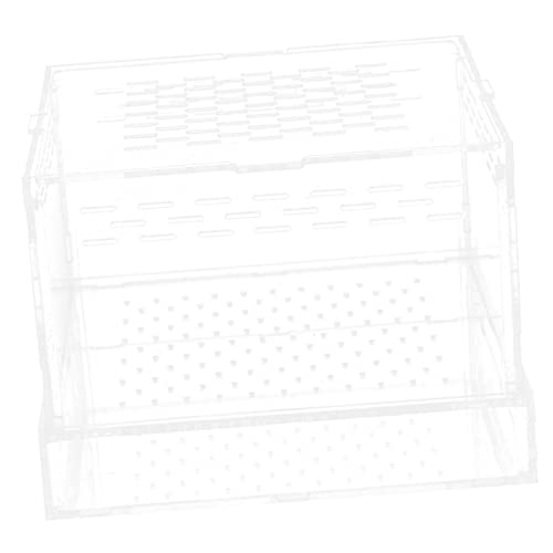 BESPORTBLE Spinne Gecko Feeder Feeder Container Acryl Insekten Zucht Box Luftstrom BESPORTBLE Spinne Gecko Feeder Feeder Container Acryl Insekten Zucht Box Luftstrom von BESPORTBLE