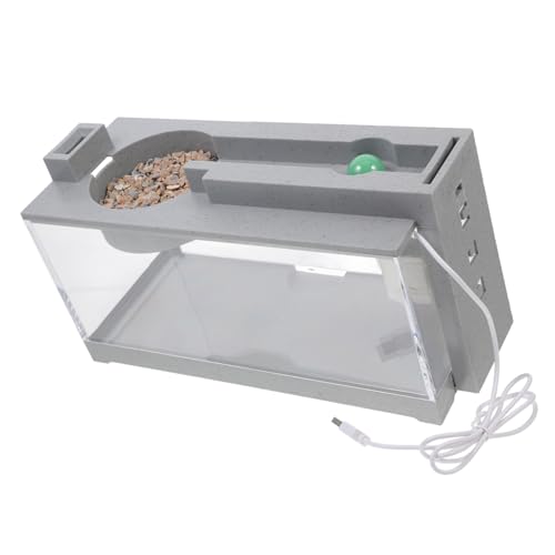 BESPORTBLE Fischtank-Dekoration Mini-Aquarium-Set Mit Pumpe Betta-fischschalen Modernes Fischtank Für Büro Zuhause Wohnheim Fischbehälter von BESPORTBLE