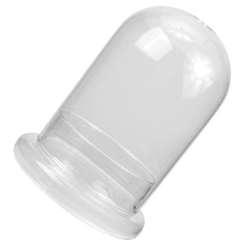 BESPORTBLE Einzigartige Moos-Terrarium-Flasche Glas-landschaftsbehälter für Die Heimdekoration von BESPORTBLE