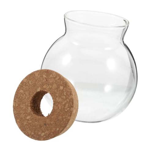 BESPORTBLE Hydroponische Glasflasche Runde Transparente Glasterrarium DIY-pflanzenterrarium Mit Korkdeckel Für Farn Moos Sukkulenten Luftpflanzen Dekorationsvase Zu Hause Büro von BESPORTBLE